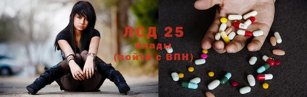 PSILOCYBIN Балабаново