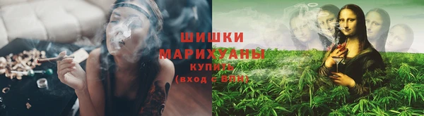 шишки Балахна
