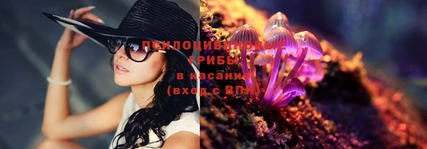 шишки Балахна