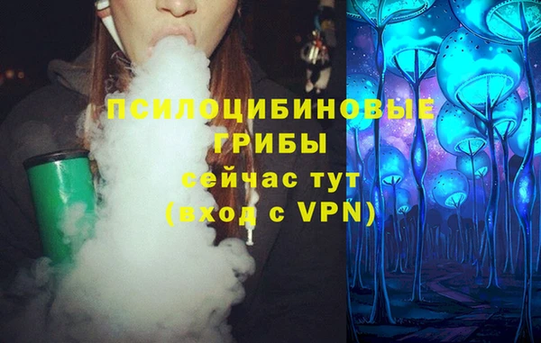 шишки Балахна