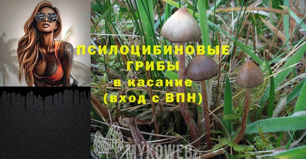 PSILOCYBIN Балабаново