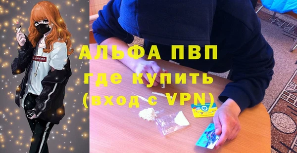 шишки Балахна