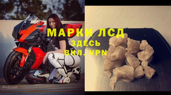 эйфоретик Баксан