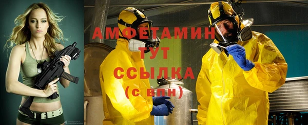 индика Волоколамск