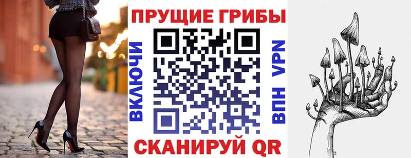 Псилоцибиновые грибы MAGIC MUSHROOMS Котельнич